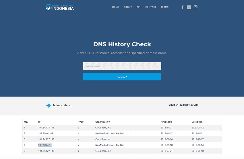 DNS History Check