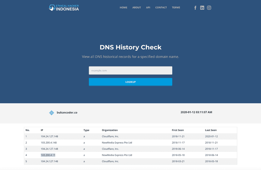 DNS History Check